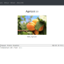 app02.png